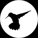 Hummingbird Fight Club